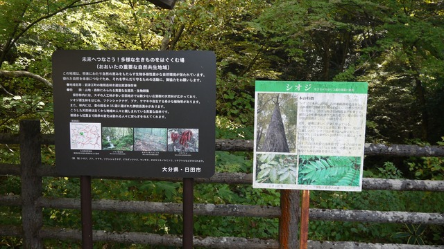 P1050145