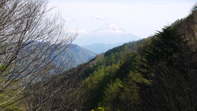 P1080719