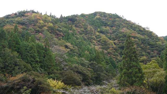 P1050026