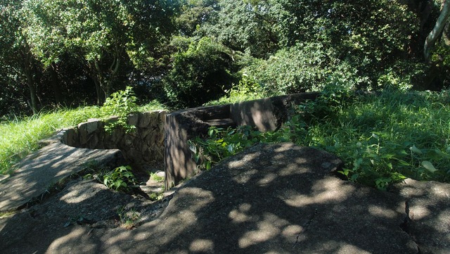 P8150455