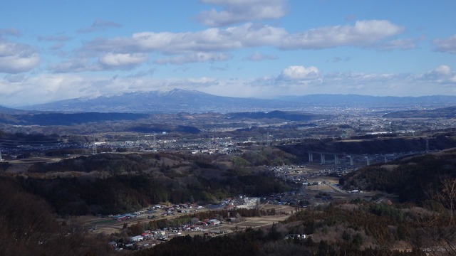 P2010048