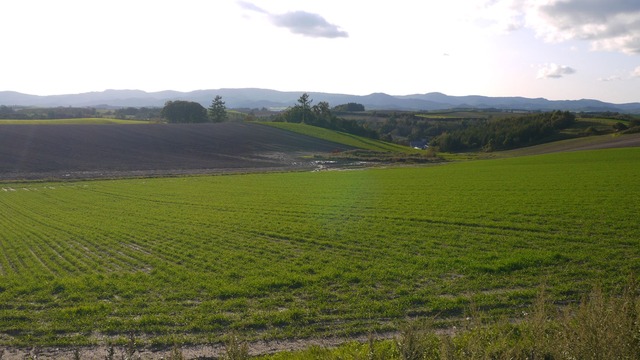 P1060511