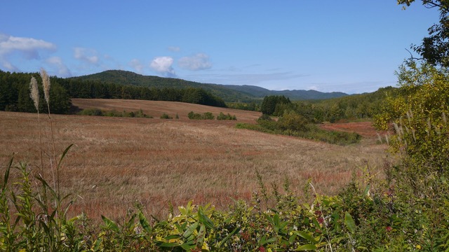 P1060407