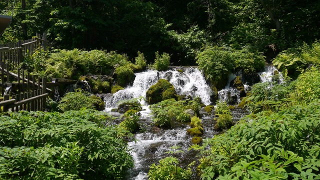 P1050780