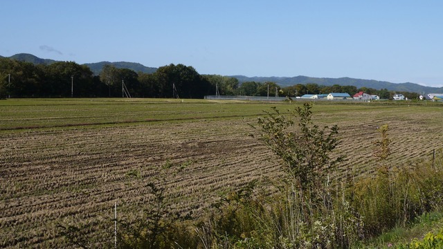P1060351