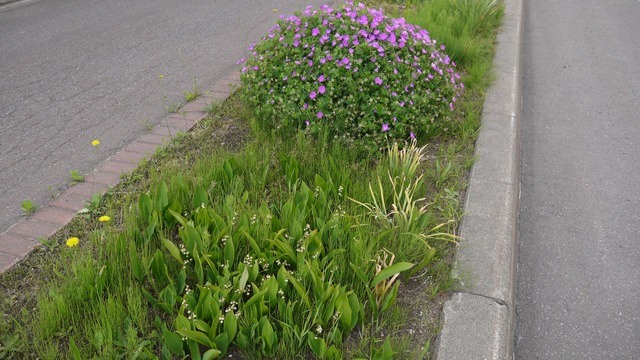 P1050606