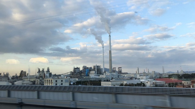 IMG_5950