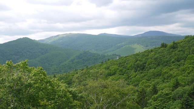 P1050801
