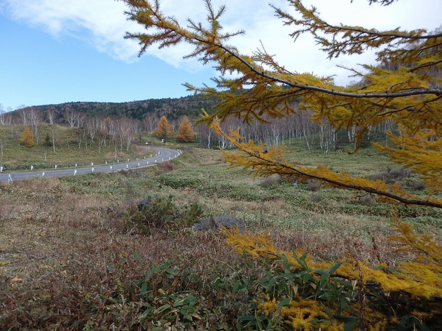 PA300197