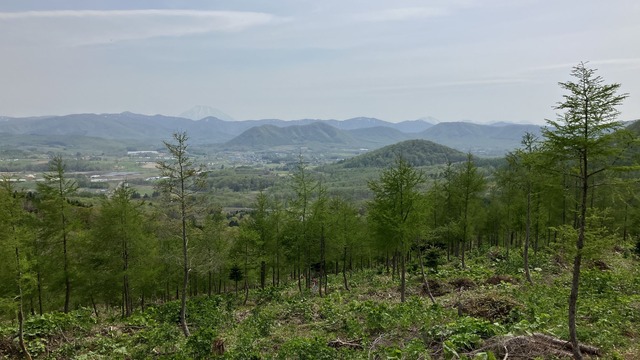 P1060829-3