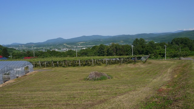 P1070040