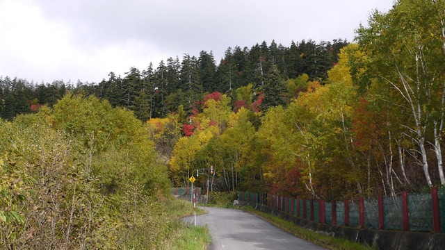 P1060446