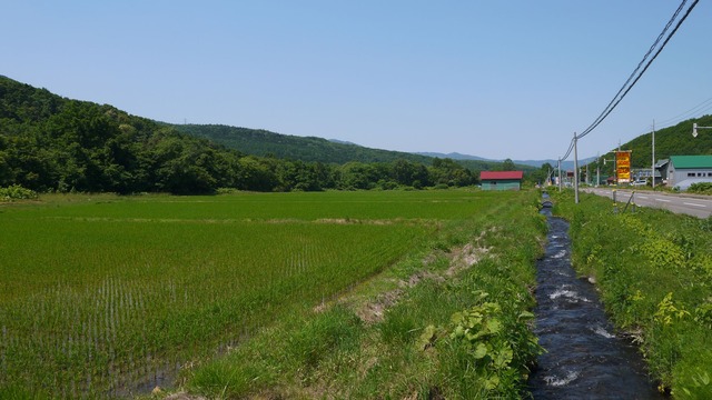 P1060930