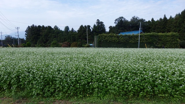 P9280024