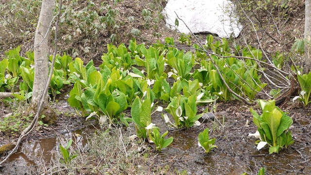 P1060756