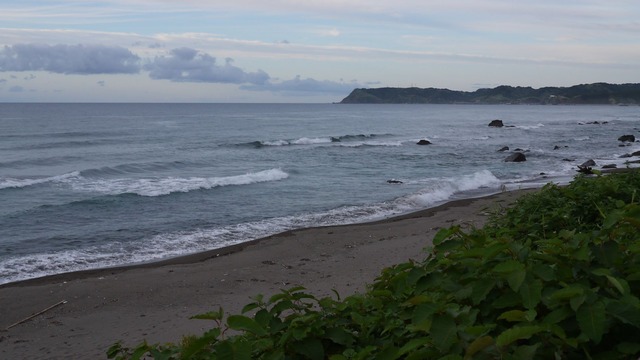 P1060184