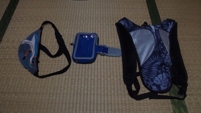 P8300087