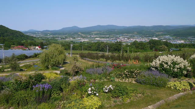 P1070050