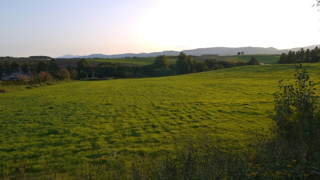 P1060535