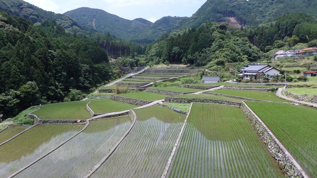 P6200121