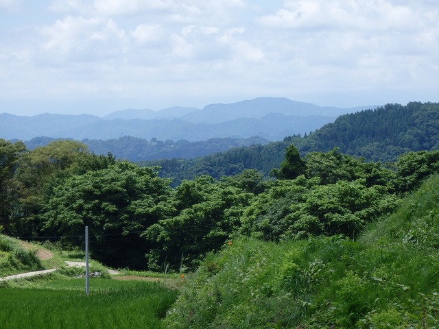 P7180168