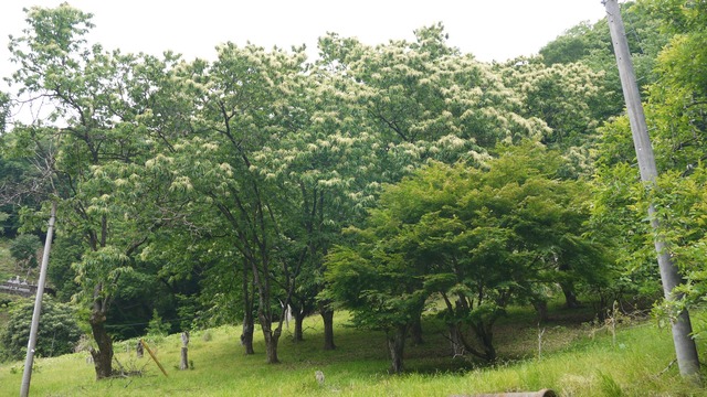 P1080782