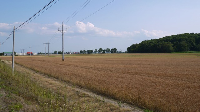 P1070207