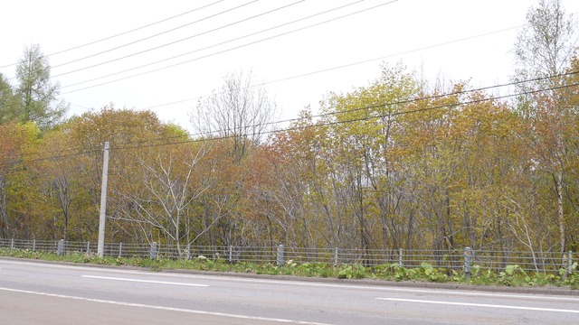P1060794
