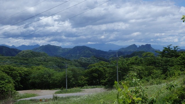 P6160068