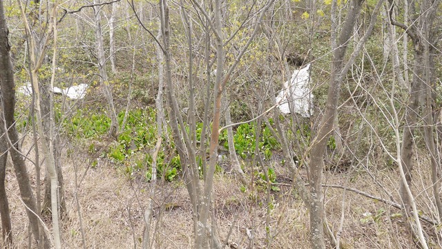 P1060763