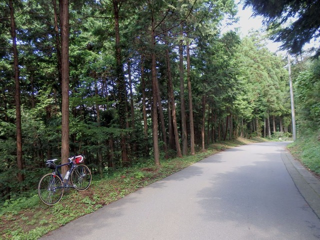 P9120008