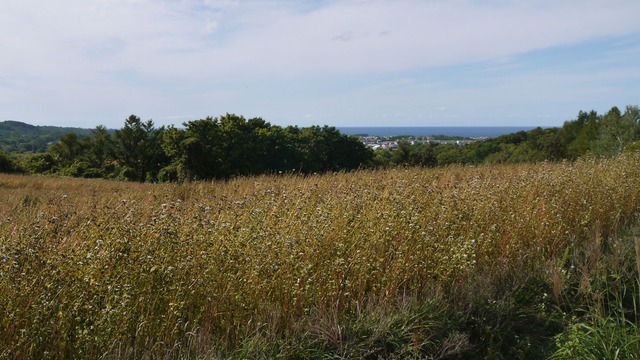 P1060121