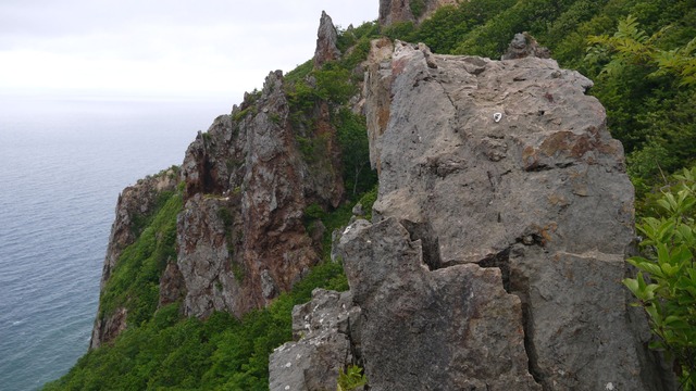 P1050646
