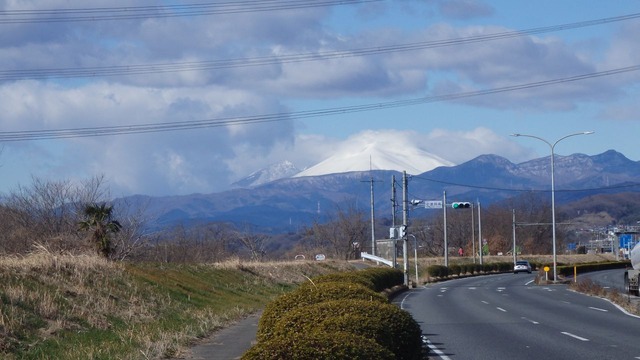 P2010019