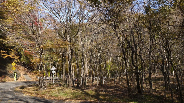 P1080148
