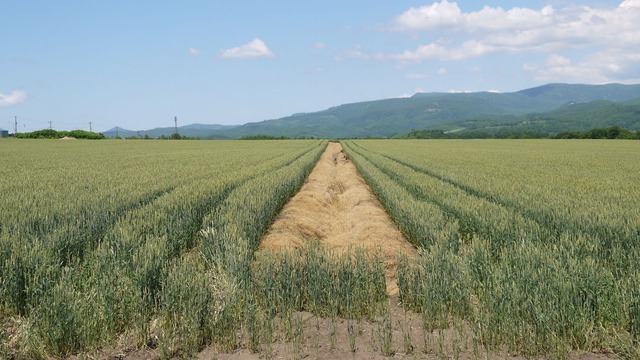 P1050795