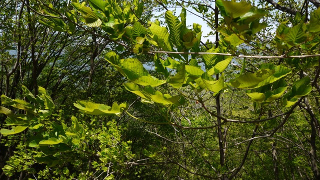 P1080586
