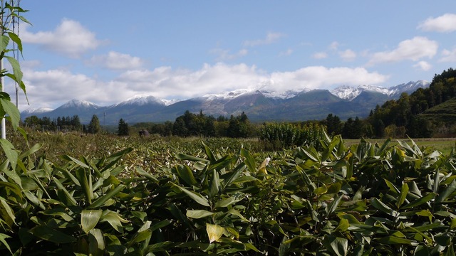 P1060435