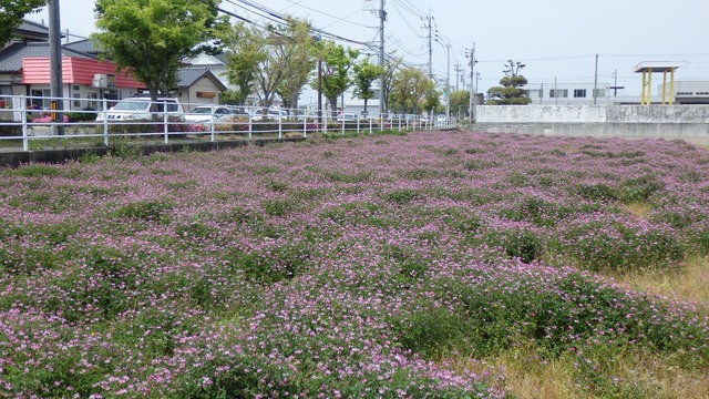 P5020042