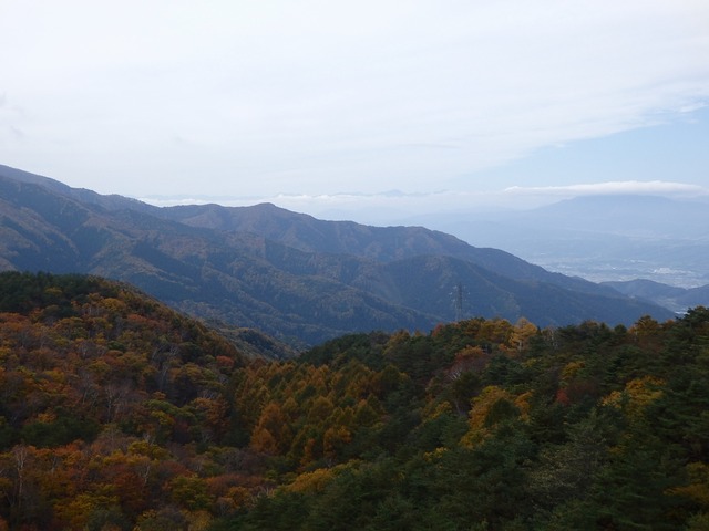 PA300164
