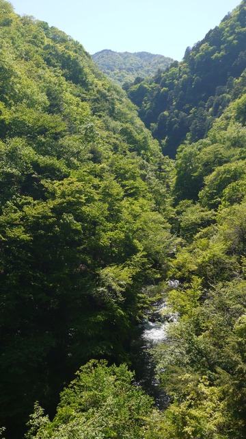 P1080676