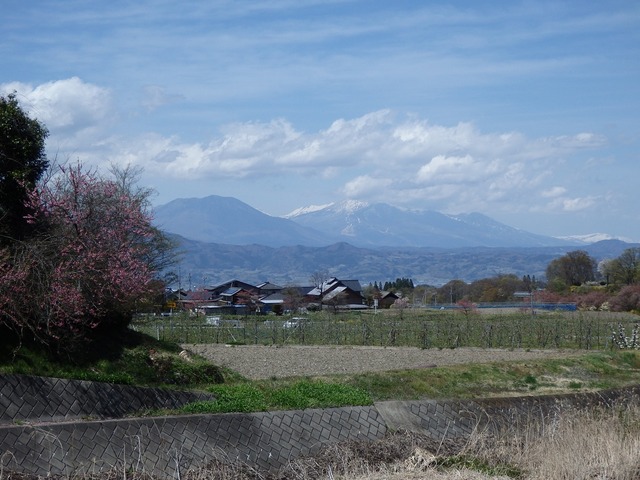 P4230067