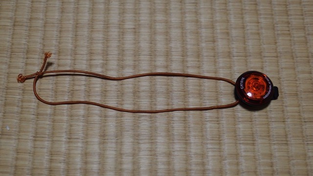 PB210229