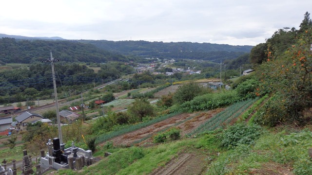PA130104