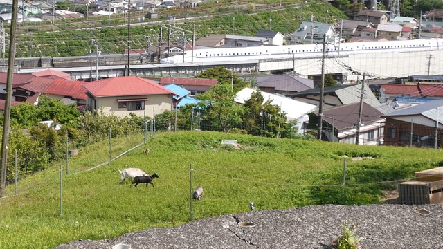 P1080748