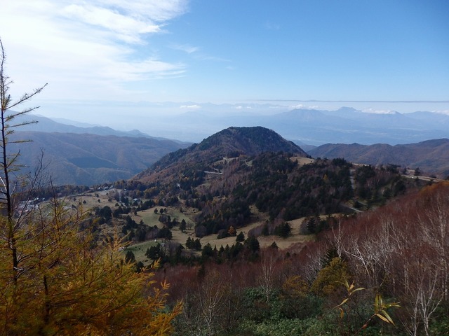PA300225