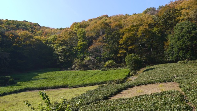 P1080046