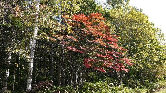 P1060372