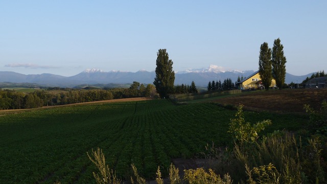 P1060529