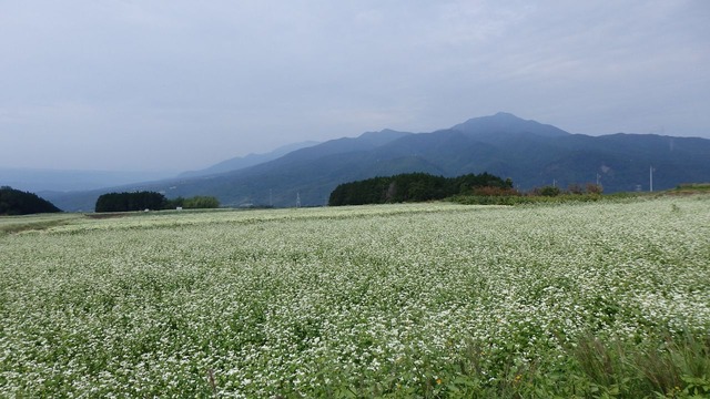 P9280034